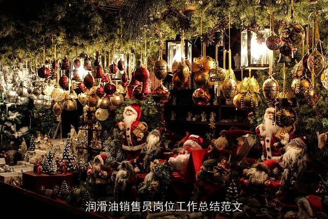 润滑油销售员岗位工作总结范文