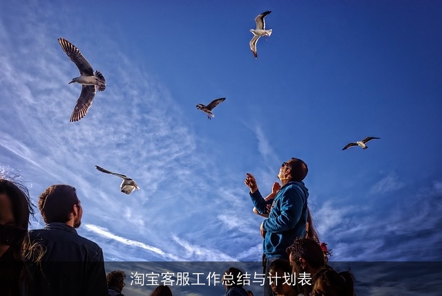 淘宝客服工作总结与计划表