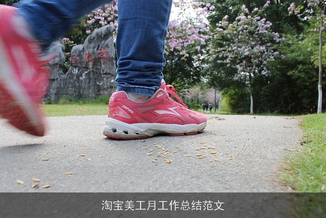 淘宝美工月工作总结范文