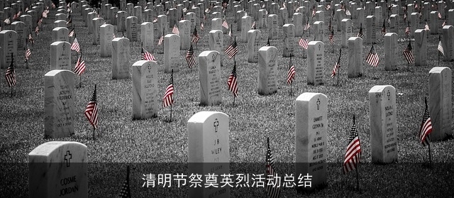 清明节祭奠英烈活动总结