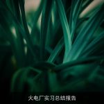 火电厂实习总结报告