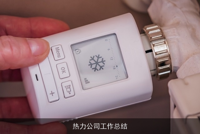 热力公司工作总结