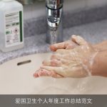 爱国卫生个人年度工作总结范文