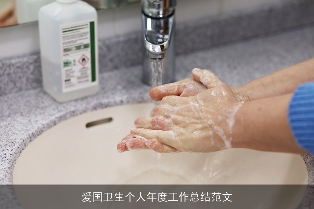 爱国卫生个人年度工作总结范文