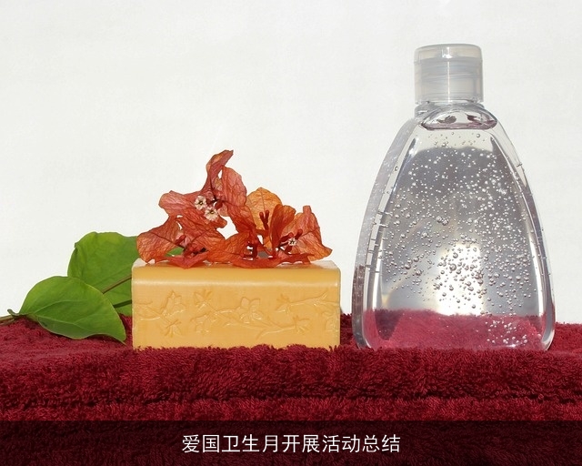 爱国卫生月开展活动总结