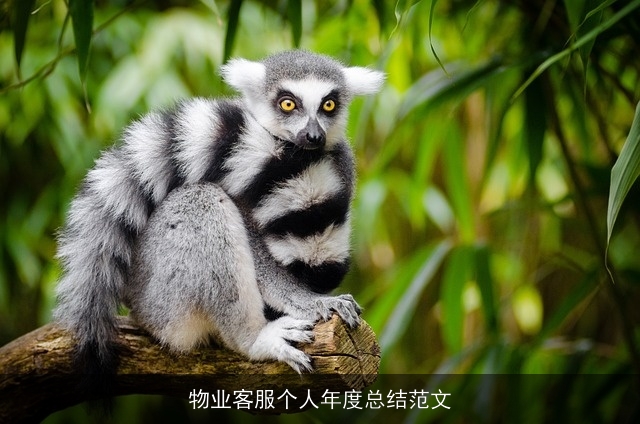 物业客服个人年度总结范文