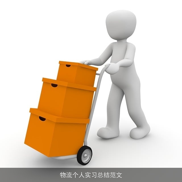 物流个人实习总结范文