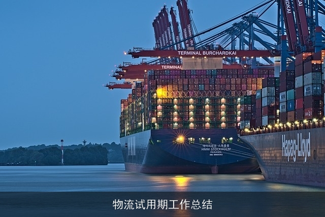 物流试用期工作总结