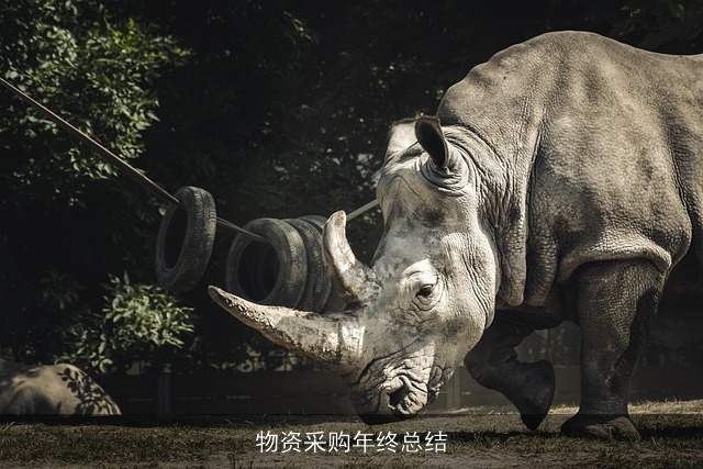 物资采购年终总结