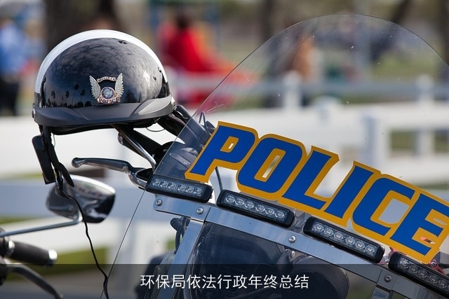 环保局依法行政年终总结