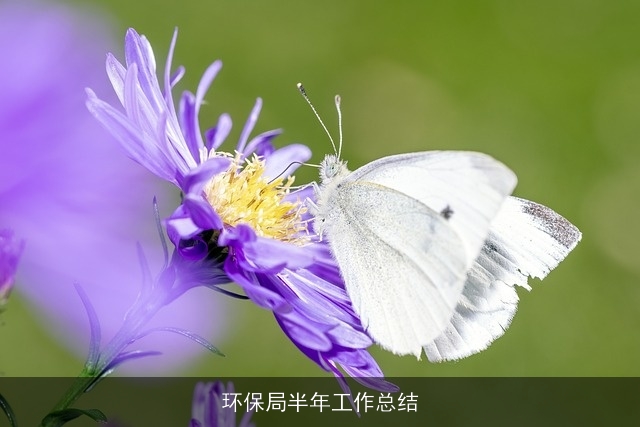 环保局半年工作总结