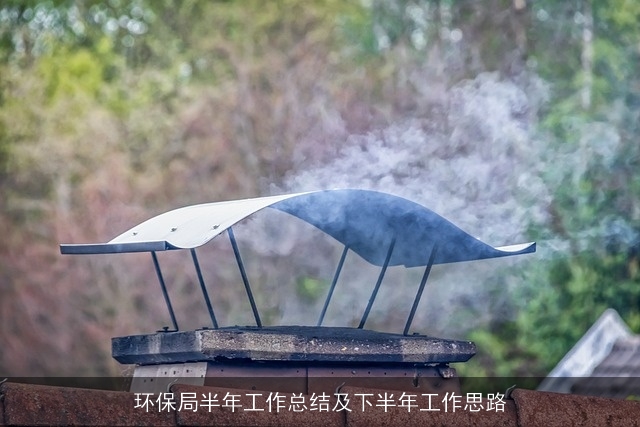 环保局半年工作总结及下半年工作思路