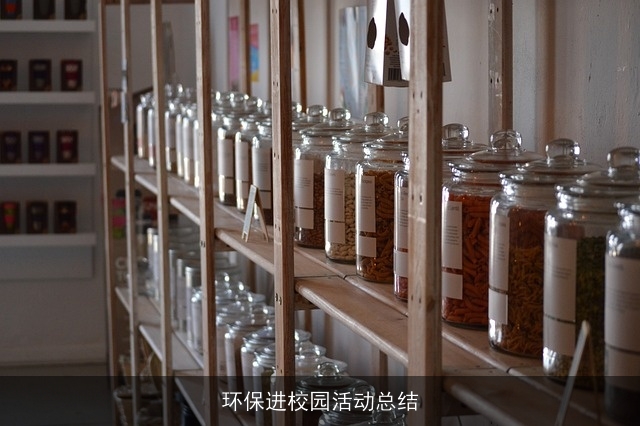 环保进校园活动总结