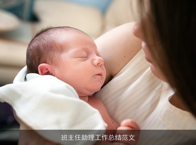 班主任助理工作总结范文