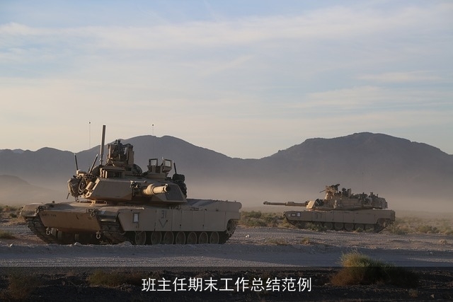 班主任期末工作总结范例