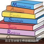 班主任班级工作总结2025年