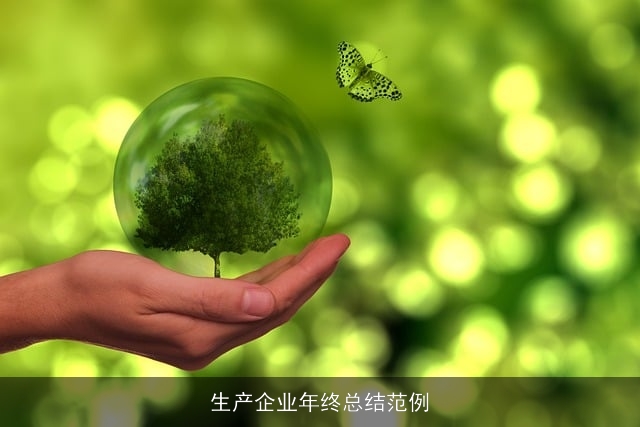 生产企业年终总结范例