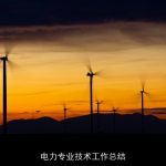 电力专业技术工作总结