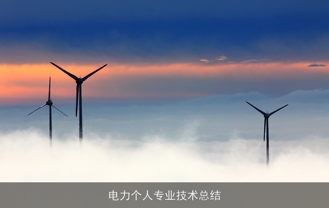 电力个人专业技术总结