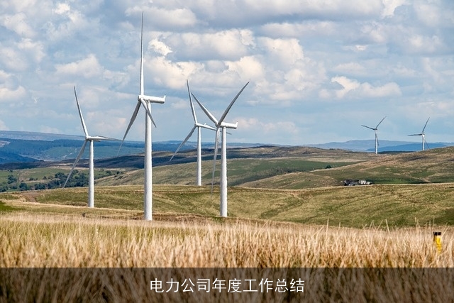 电力公司年度工作总结