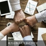 电力运维个人年度总结范文