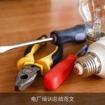 电厂培训总结范文