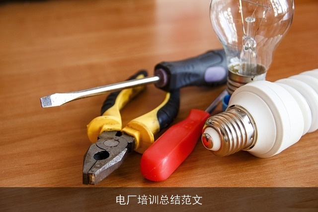 电厂培训总结范文