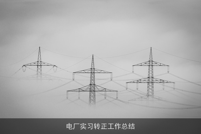 电厂实习转正工作总结