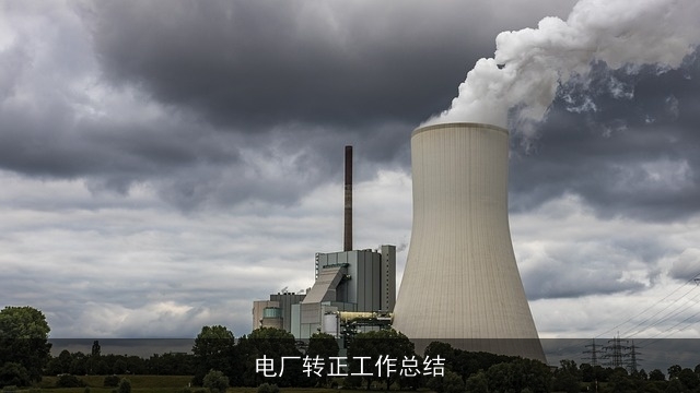 电厂转正工作总结