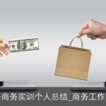 电子商务实训个人总结_商务工作总结