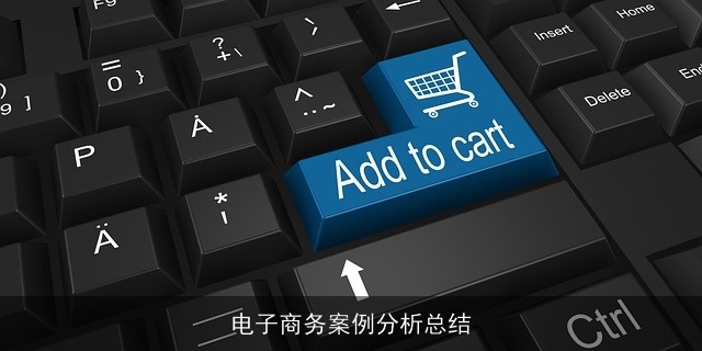 电子商务案例分析总结