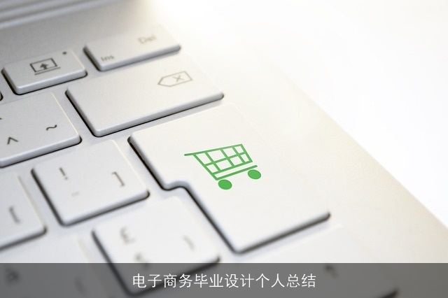 电子商务毕业设计个人总结