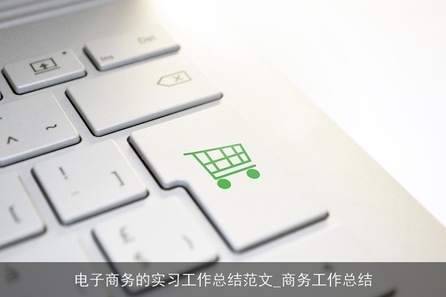 电子商务的实习工作总结范文_商务工作总结
