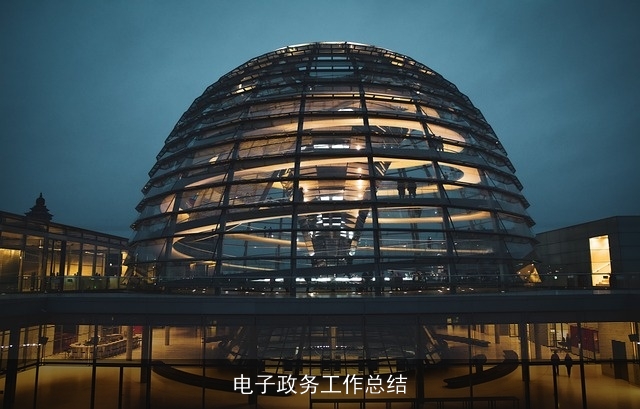 电子政务工作总结