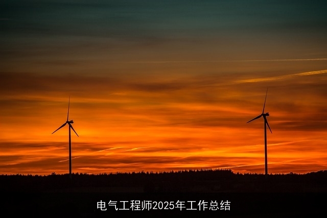 电气工程师2025年工作总结