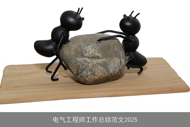 电气工程师工作总结范文2025