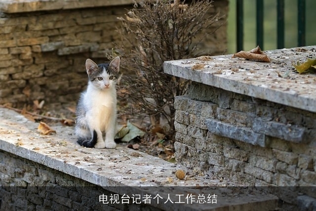 电视台记者个人工作总结