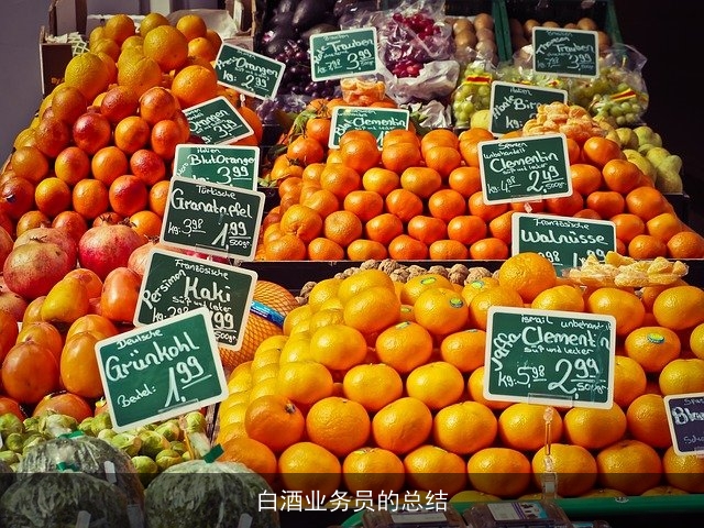 白酒业务员的总结