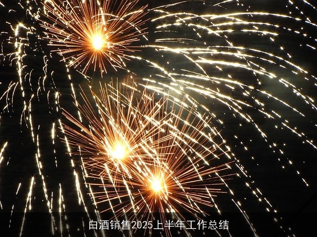 白酒销售2025上半年工作总结