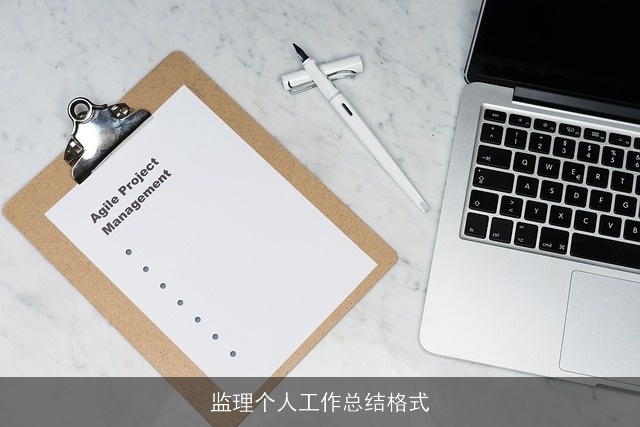 监理个人工作总结格式