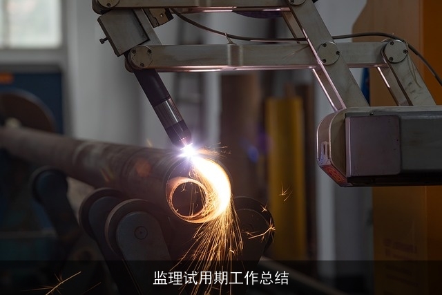 监理试用期工作总结