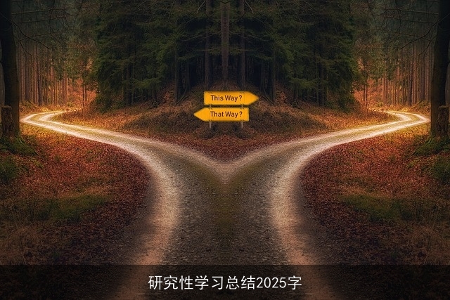 研究性学习总结2025字