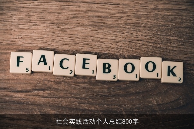 社会实践活动个人总结800字