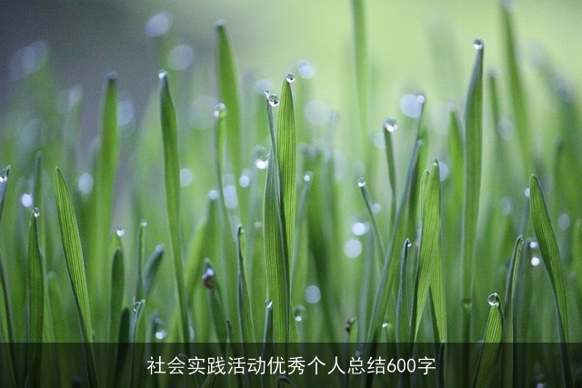 社会实践活动优秀个人总结600字