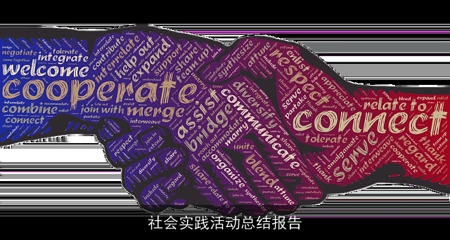 社会实践活动总结报告