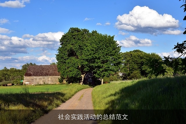 社会实践活动的总结范文