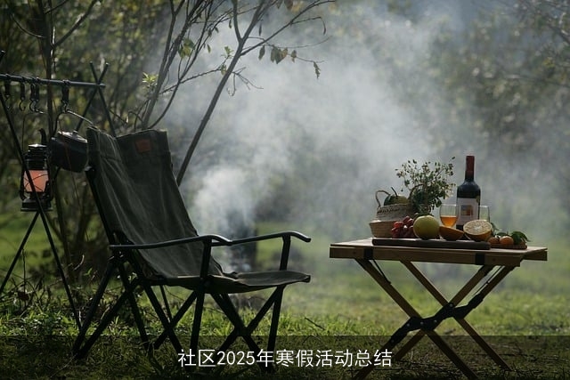 社区2025年寒假活动总结