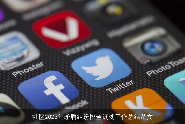 社区2025年矛盾纠纷排查调处工作总结范文