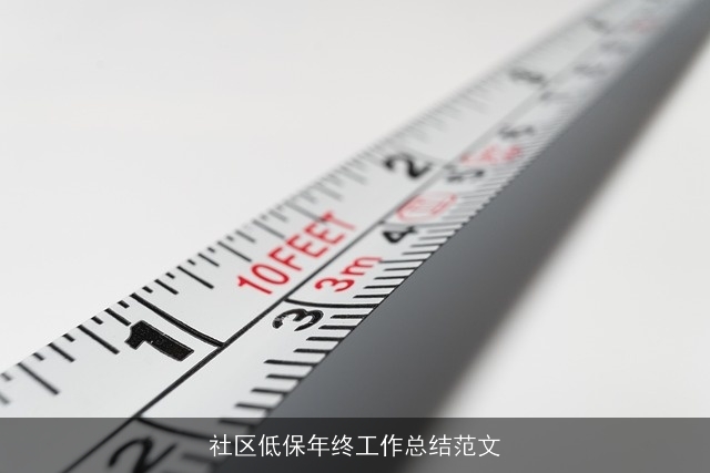 社区低保年终工作总结范文