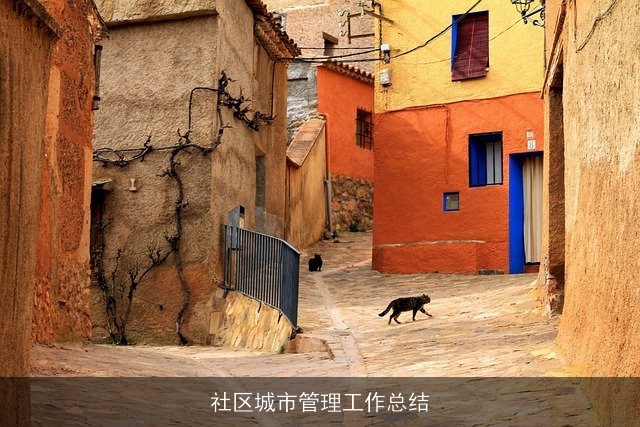 社区城市管理工作总结